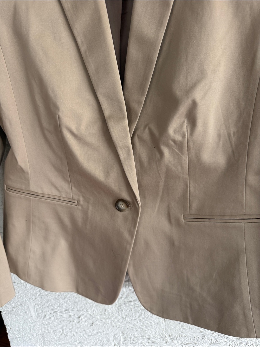 Ann Taylor Neutral Beige Women's Tailored Blazer and Pants - Picture 7 of 13